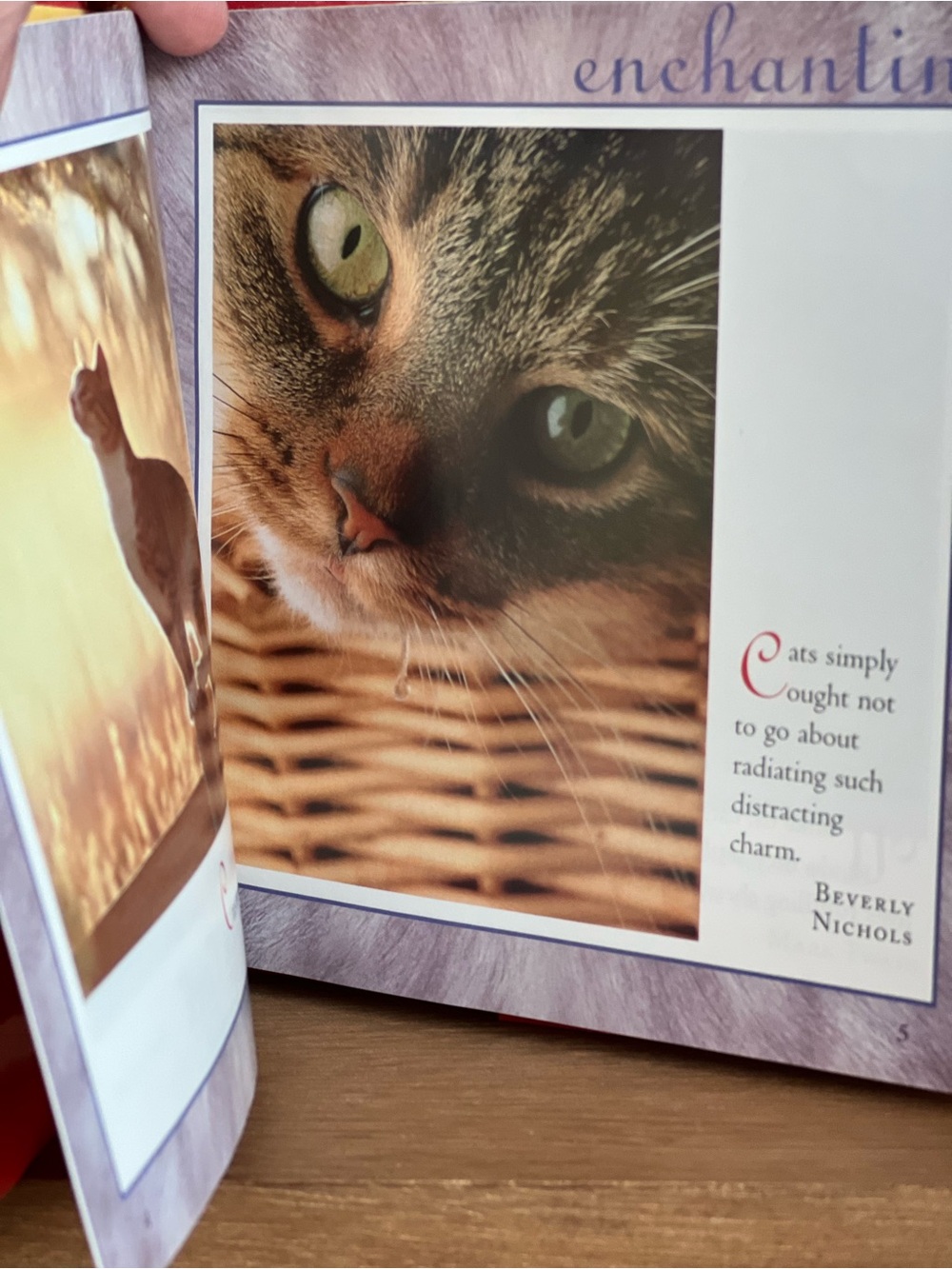 "Cat Rules" Book - Picture 2 of 3